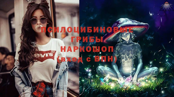 ешки Бронницы