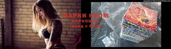 ешки Бронницы