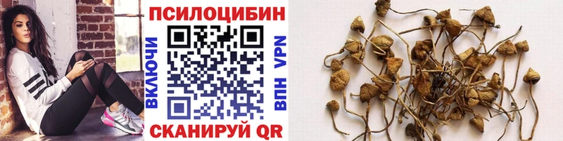 Псилоцибиновые грибы GOLDEN TEACHER  дарнет шоп  маркетплейс как зайти  Крым 